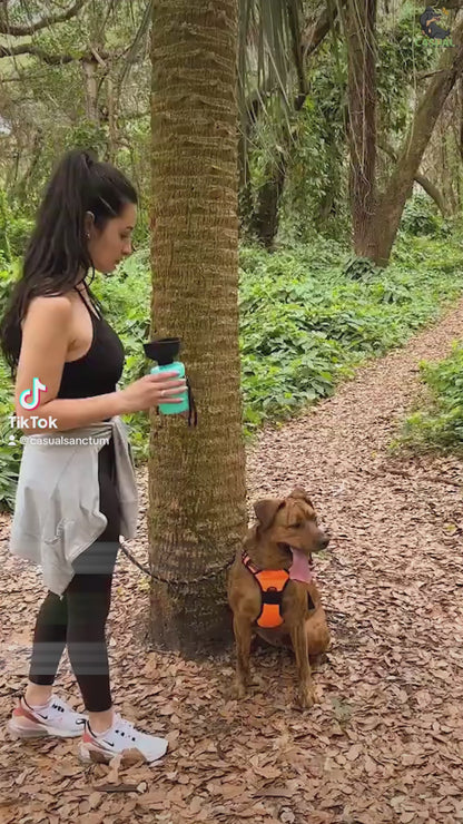 Portable Folding Dog Water Bottle