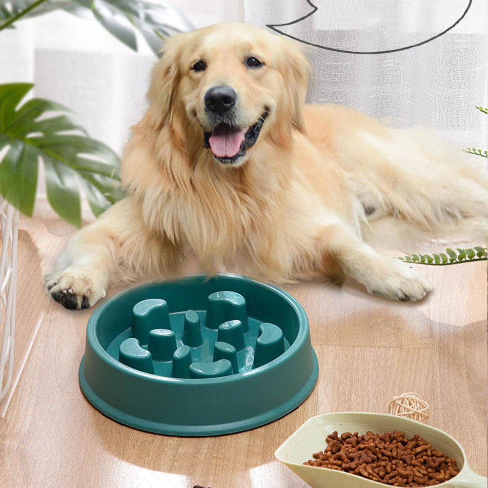 Slow Feeder Pet Bowl