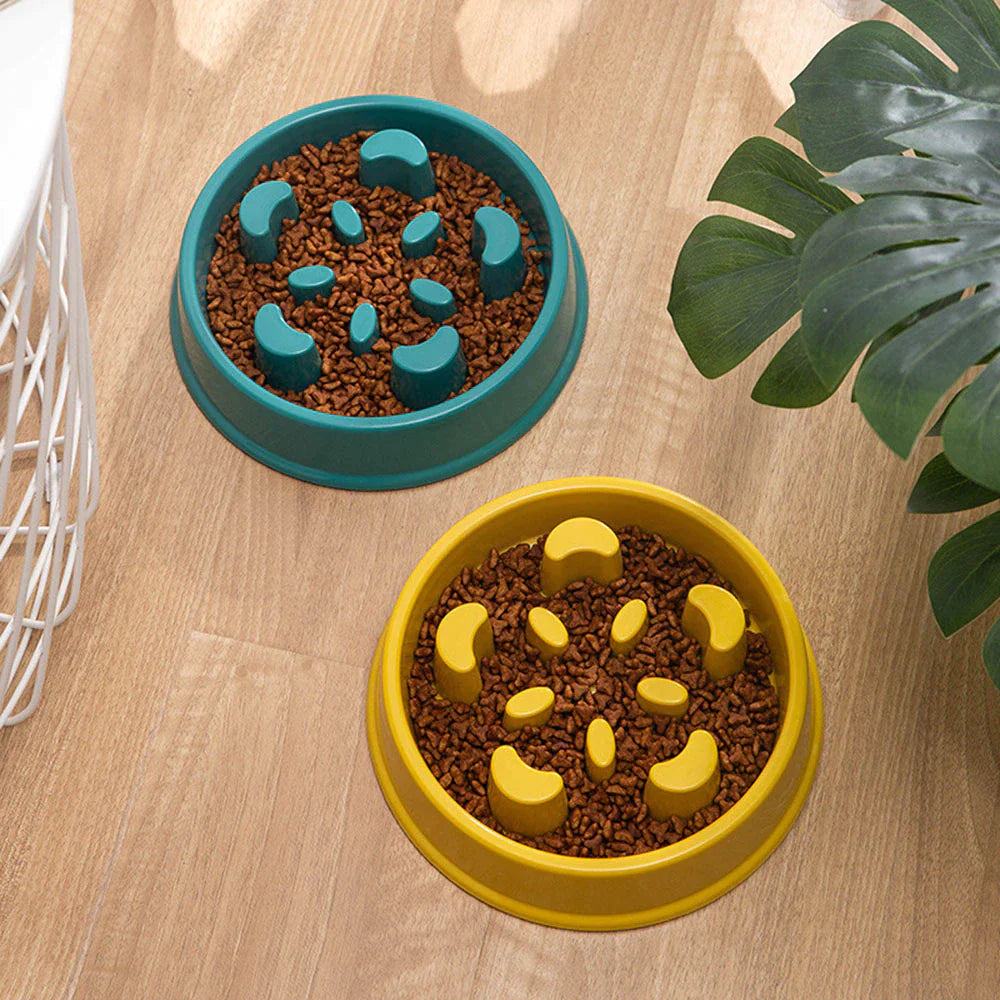 Slow Feeder Pet Bowl