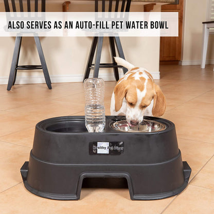 Elevated Duel Dog Bowl