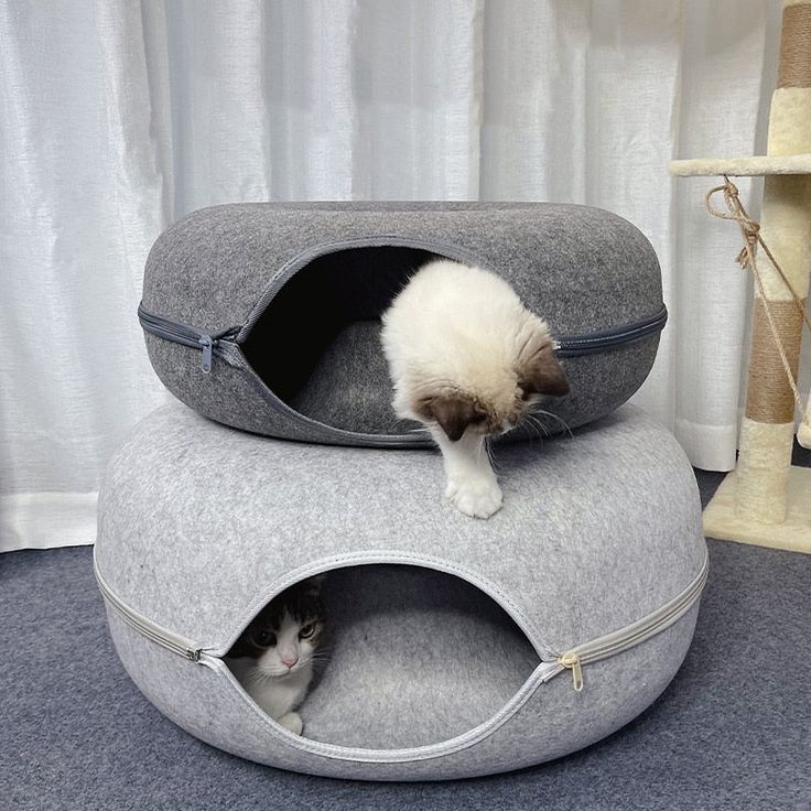 Peek A Boo Cat Cave