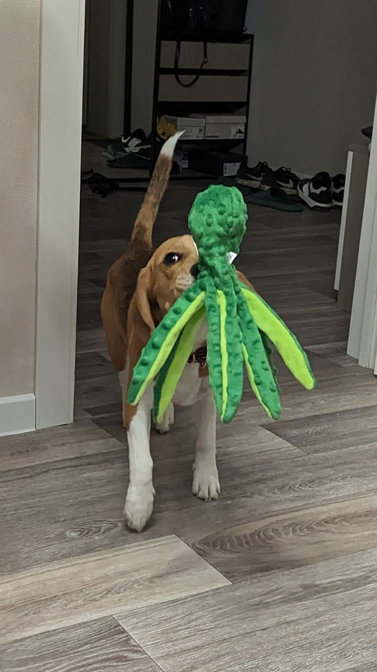 Pet Plush Octopus