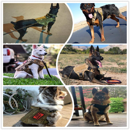 Tactical Dog Harness