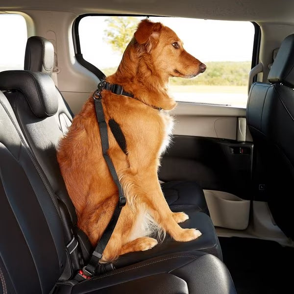 Pet Seat Belt