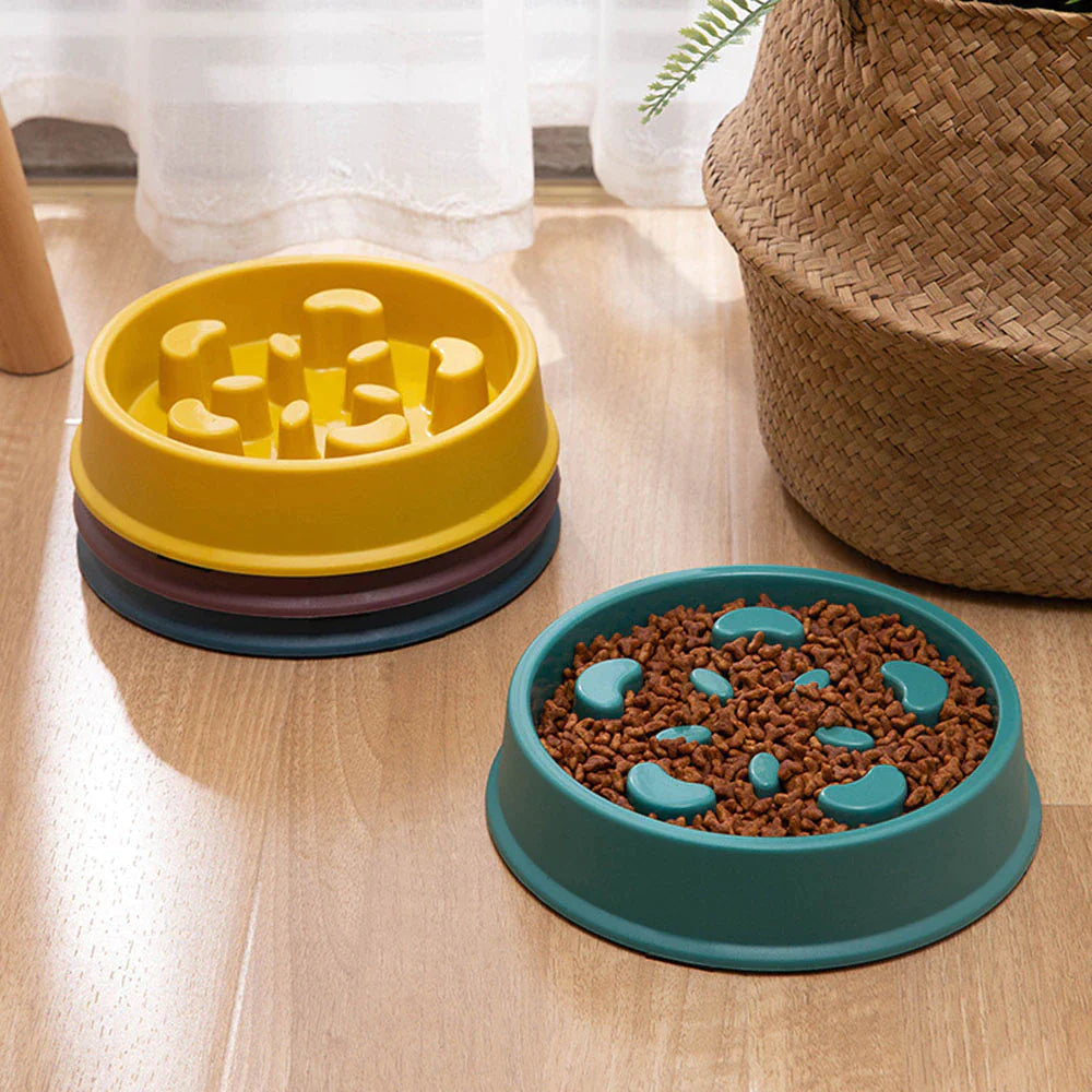 Slow Feeder Pet Bowl