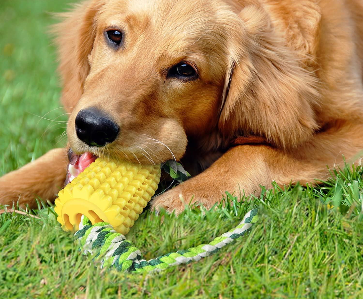 Dog Chewy Corn Chew Toy