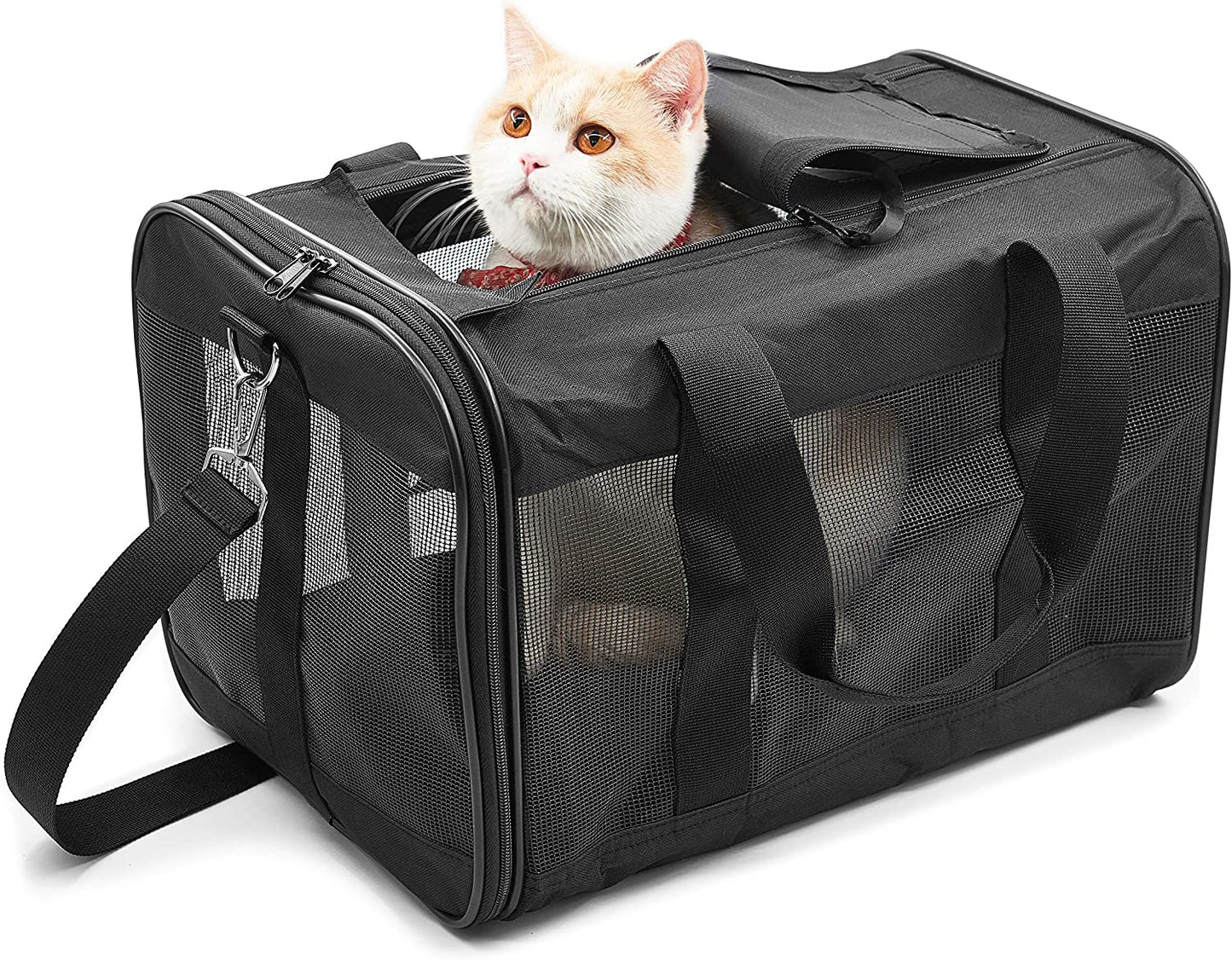 Pet Travel Carrier 