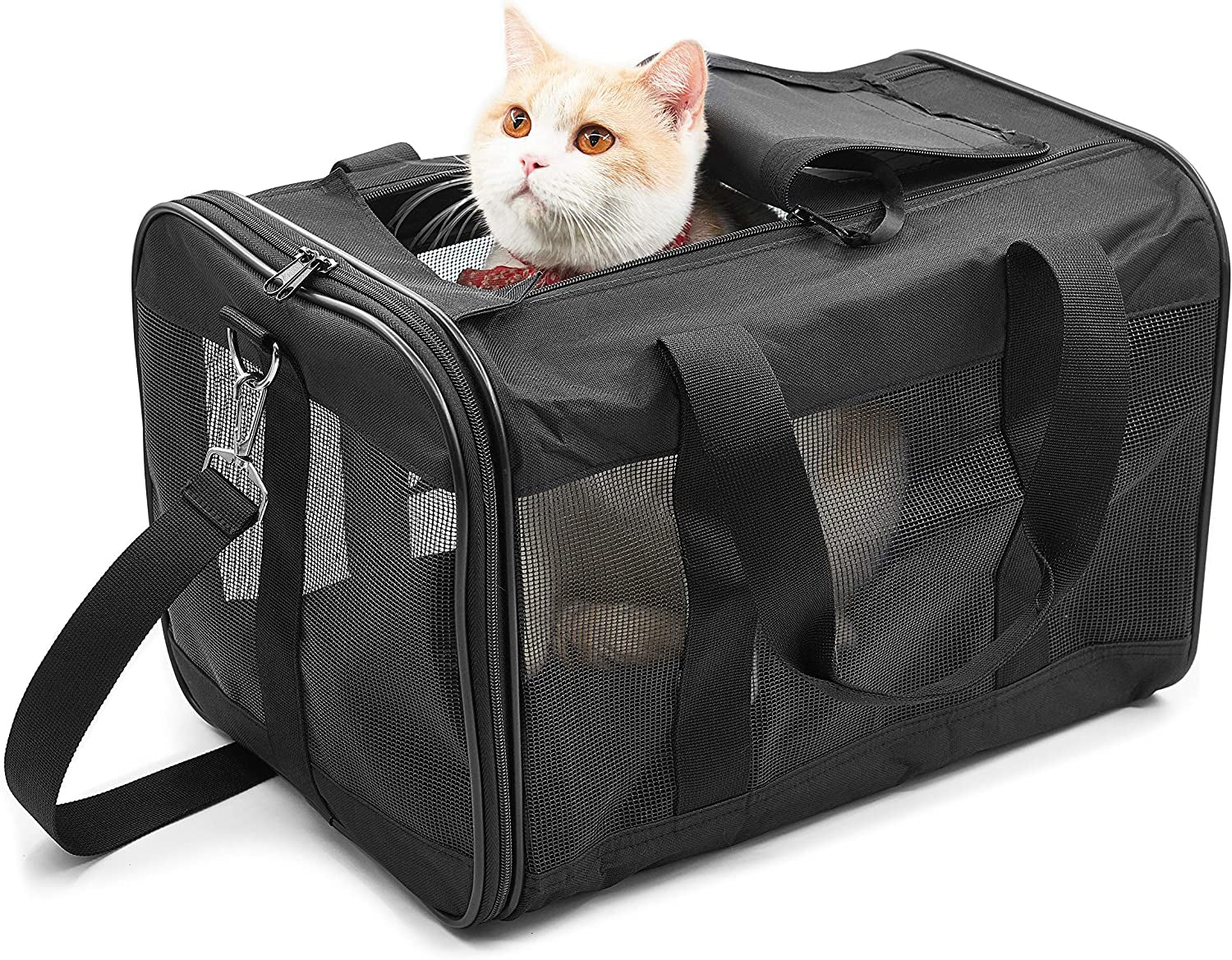 Pet Travel Carrier 