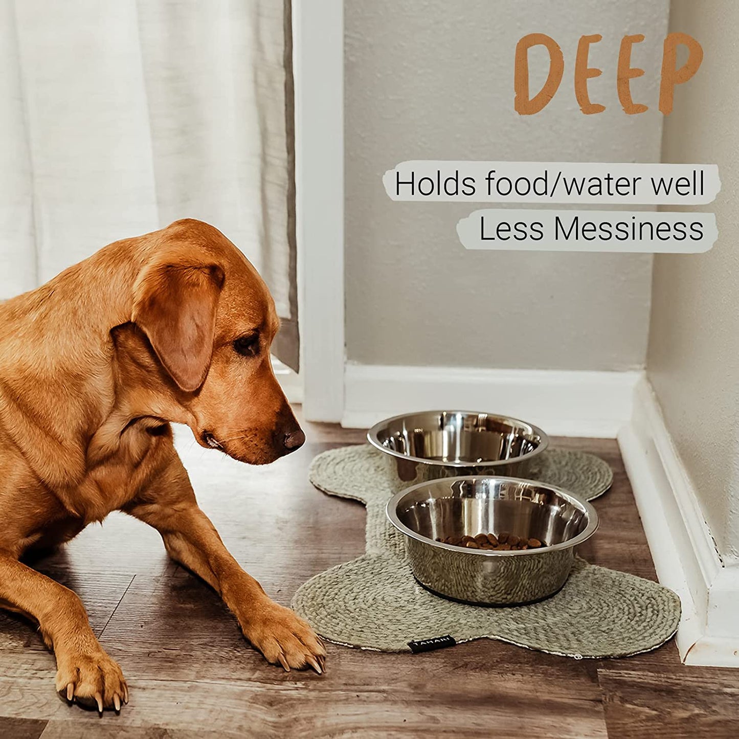 Stainless Steel Dog Food and Drink Bowls