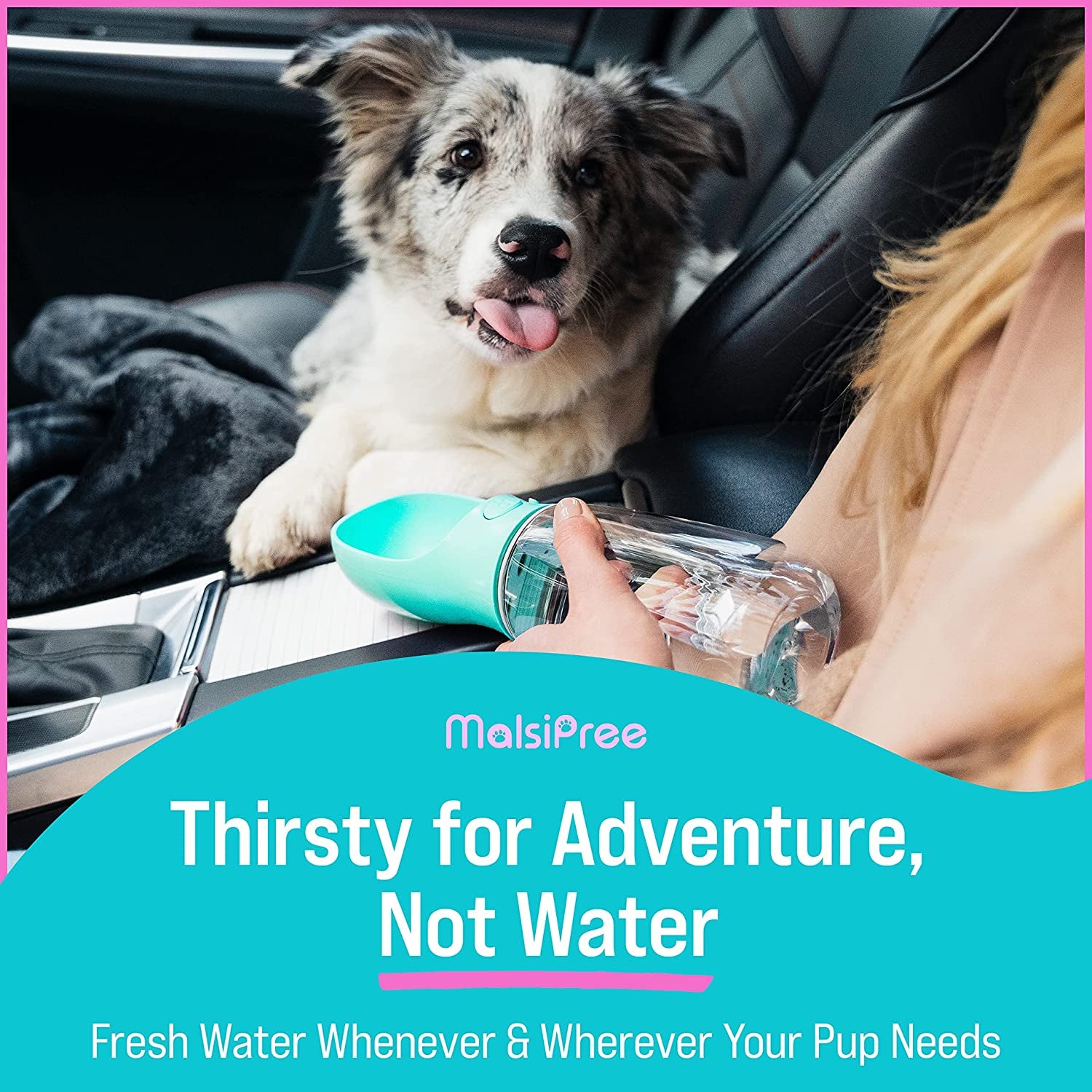 Portable Dog Water Bottle