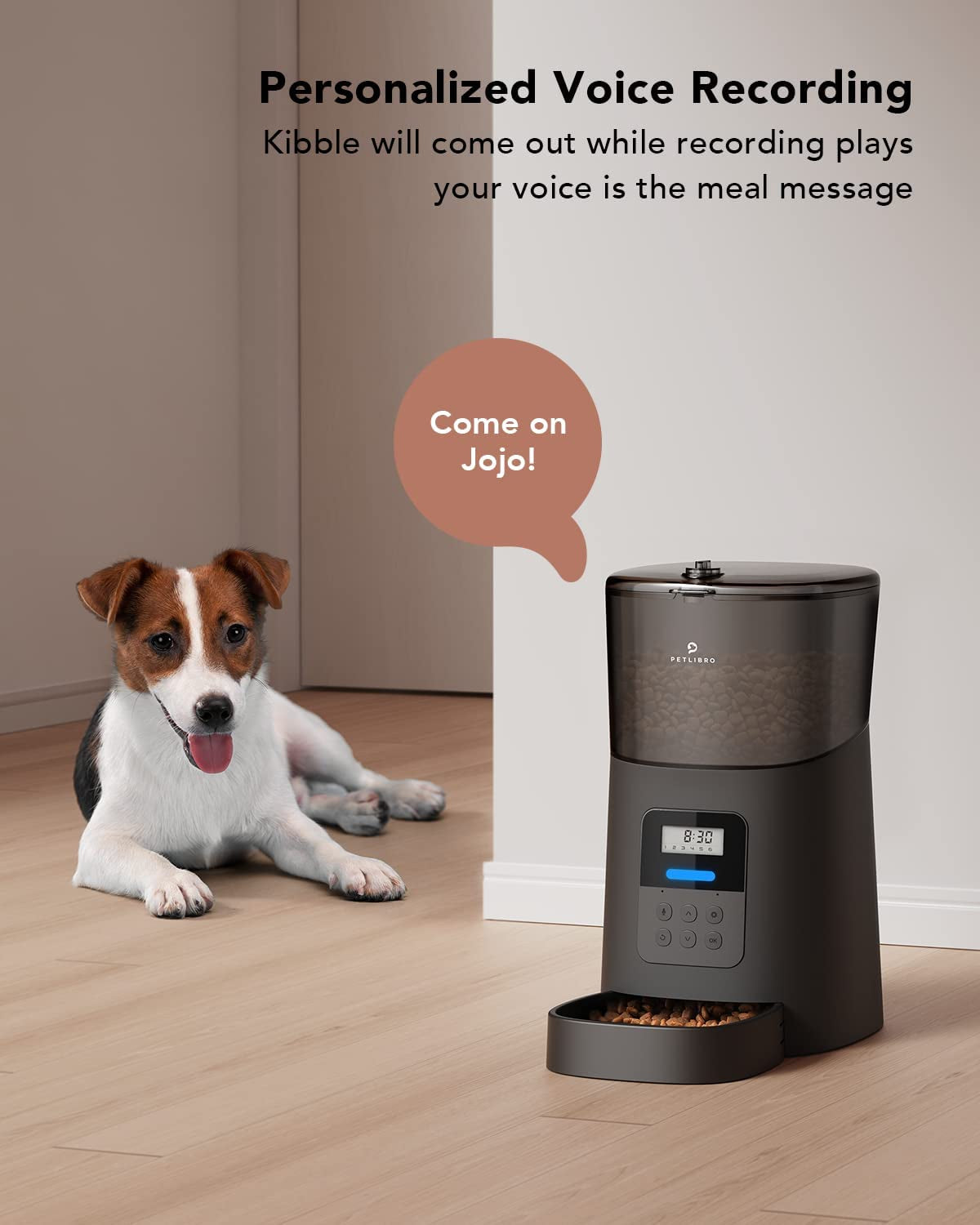 Automatic Pet Feeder