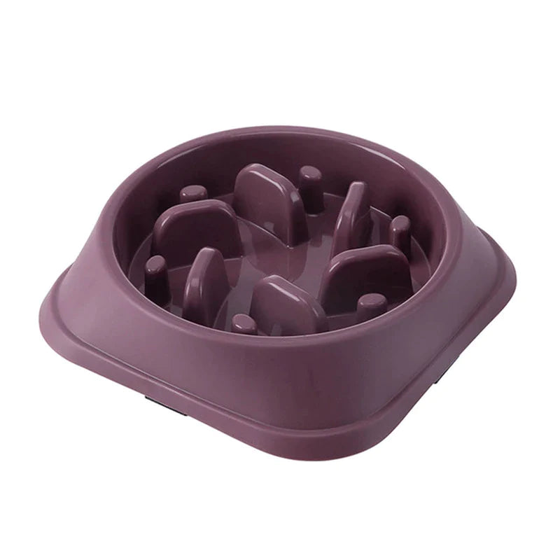 Slow Feeder Pet Bowl