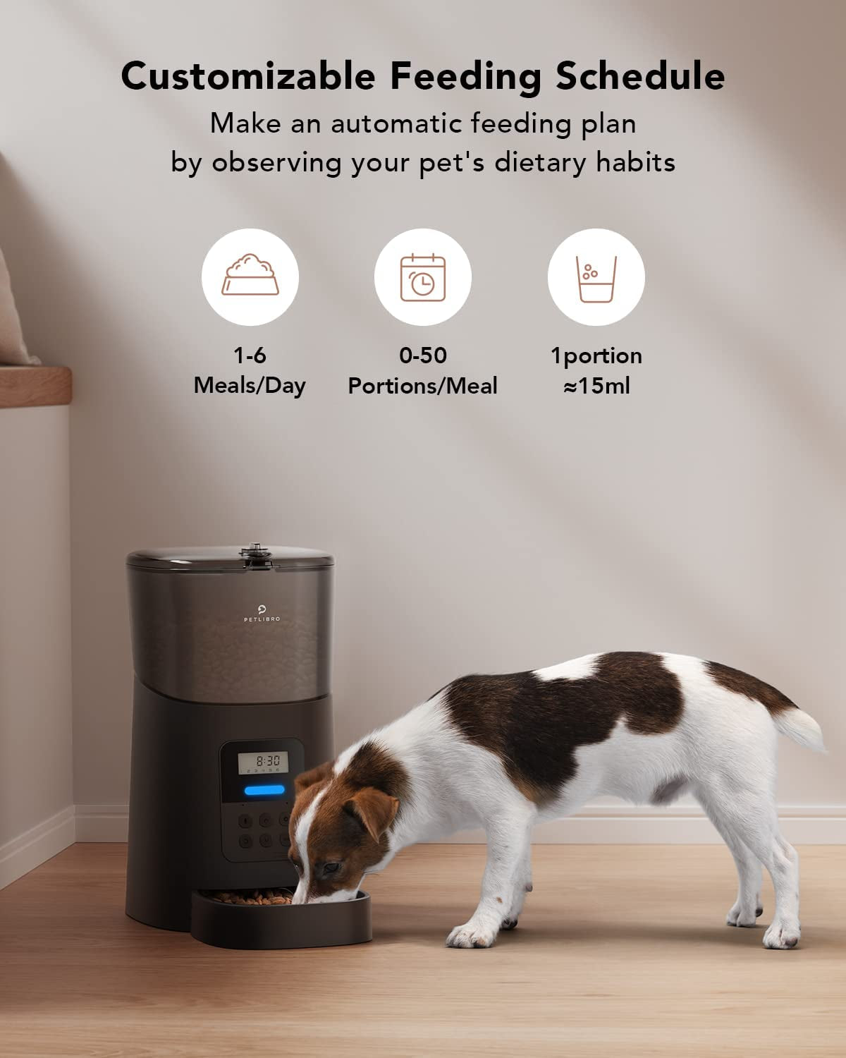 Automatic Pet Feeder